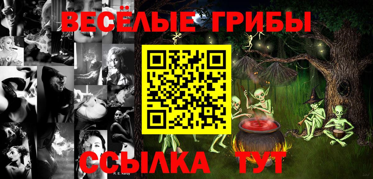 Галлюциногенные грибы Cubensis  где найти наркотики  Касимов  Вход с VPN 