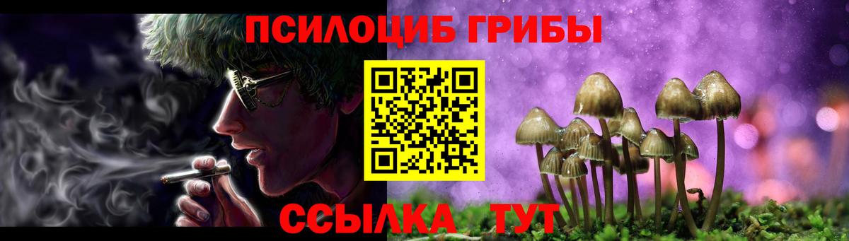Псилоцибиновые грибы Psilocybe Касимов